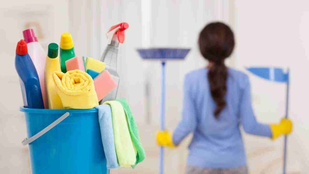 professional cleaning services